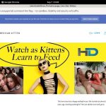 Americankitten.com Trial Memberships