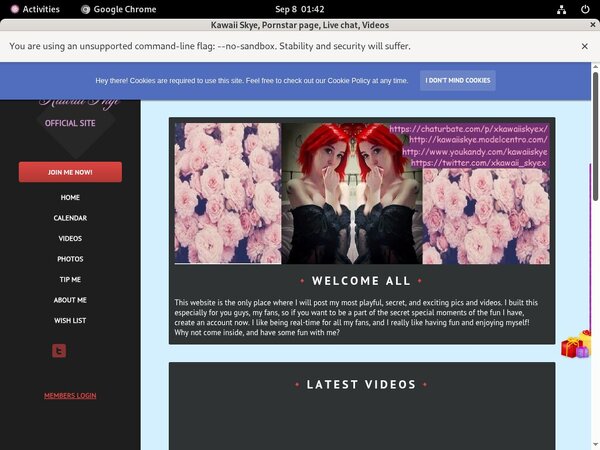 Kawaiiskye.modelcentro.com Porn Site
