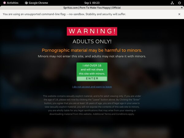 Login To Spritzz Free