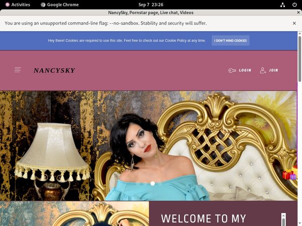 NancySky Chat