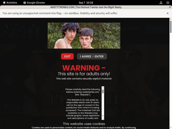 Nastytwinks.com Password Premium