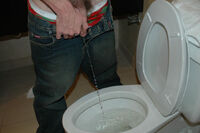 Paypal With Boys-pissing.com s1