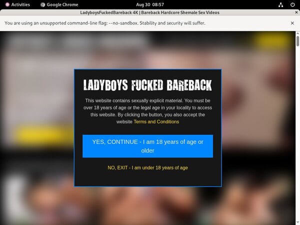 Premium Ladyboysfuckedbareback.com Pass