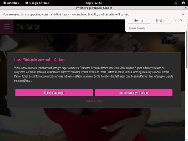 Sari Sander Cuentas Gratis