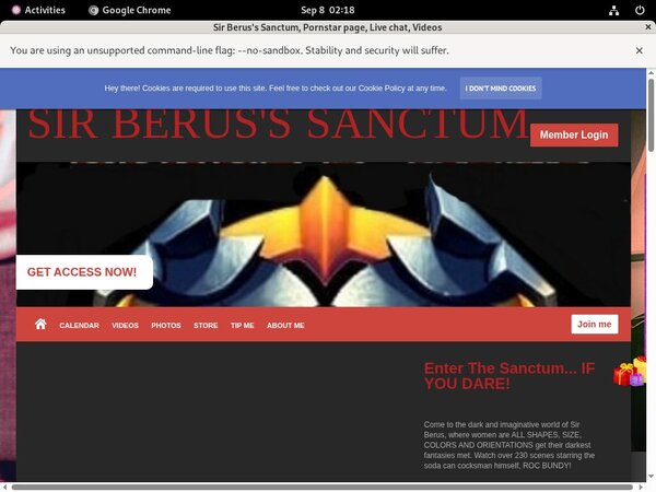 Sir Berus's Sanctum Account Passwords