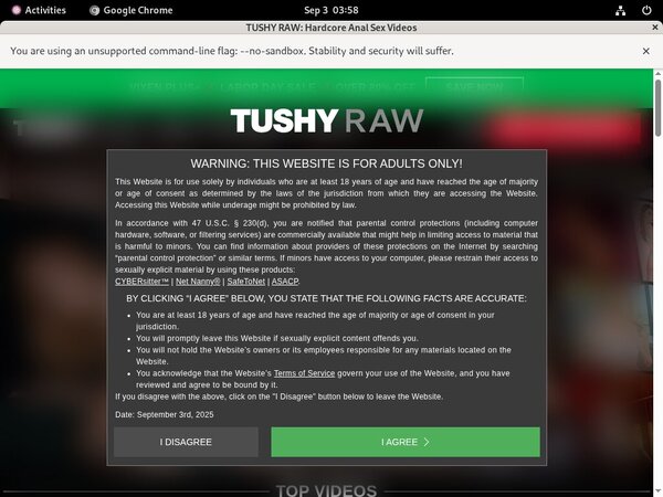 Tushy Raw Free Online