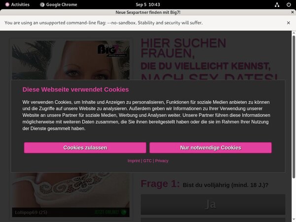 Your Secret Dream Webcams