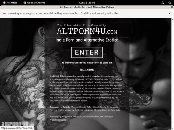 Alt Porn 4 U Access Free