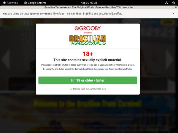 Brazilian Transsexuals Get Account