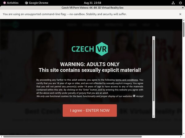 Czech VR Passcode