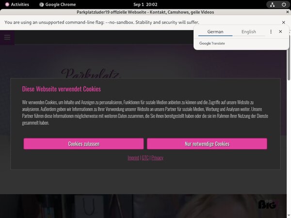 Free Parkplatzluder19 Promo