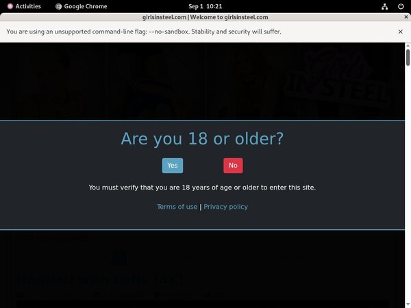 Girlsinsteel.com Password Username