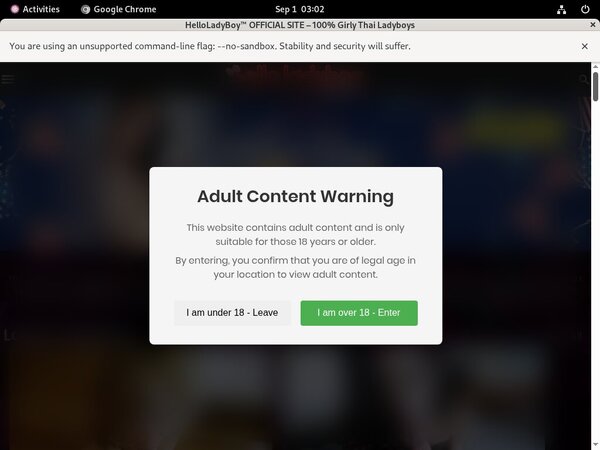 Helloladyboy.com Porn Passwords