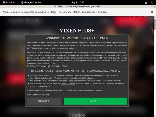 How Much Does Vixen Plus Cost