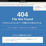 LadyLaPerle Discount Payment