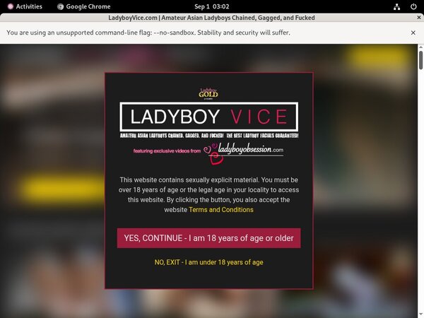 Ladyboyvice.com Hacked Accounts