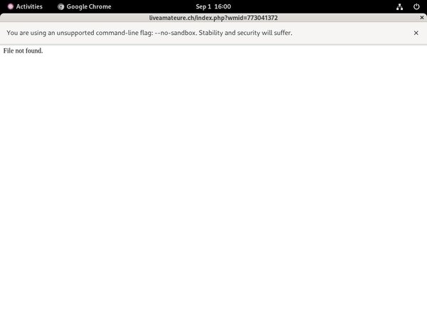 Liveamateurech Porn Passwords