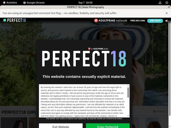 Logins Perfect18 Free