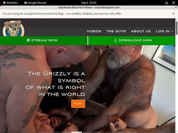 Muscle Bear Porn Username Password