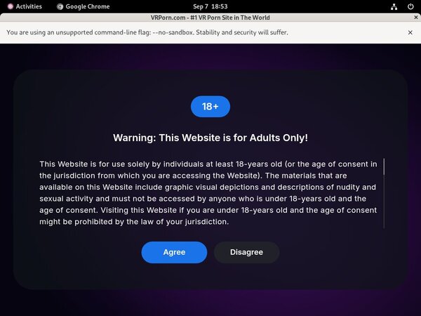 Password VR Porn