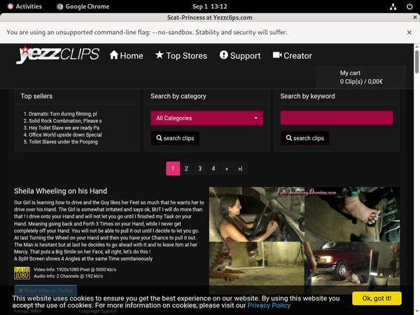 Scat-princess Automatische Kassen