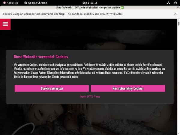 Sina-valentini.de Site