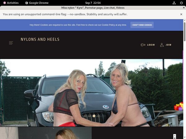 Stockingsandhighheels.com Paysite Passwords