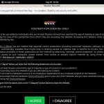 Workinmenxxx Discount Review