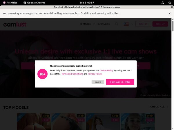 Camlust.com Accounts And Password