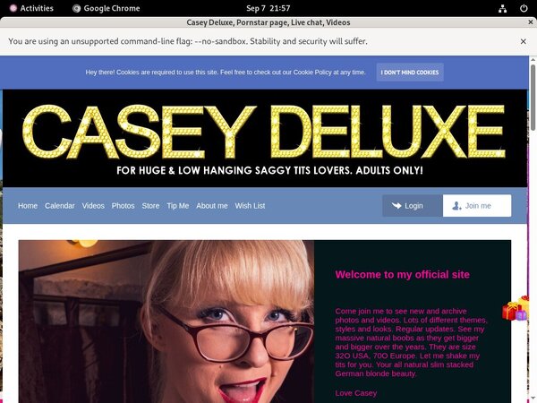 CaseyDeluxe Web Site
