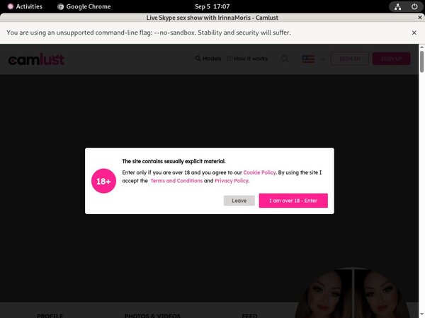 Cracked Camlust.com Account