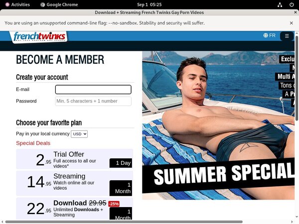 French-twinks.com Promo Link