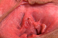 Gape My Pussy Free Id s0