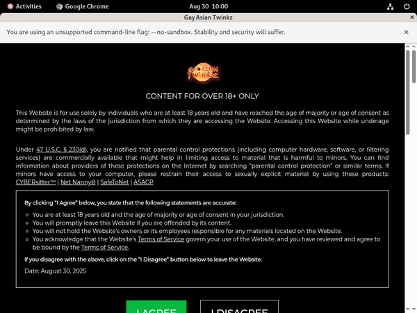 Gay Asian Twinkz Image Post