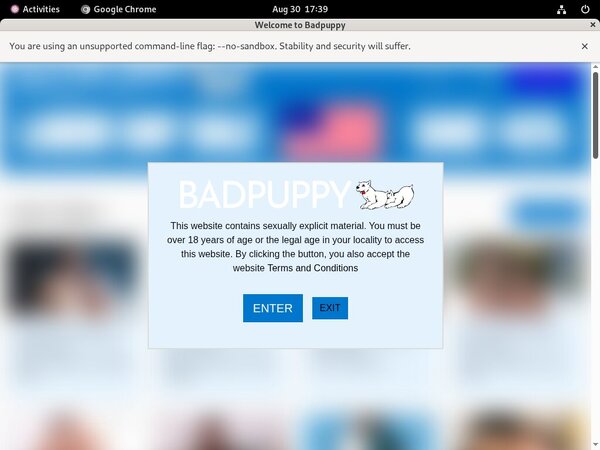 Get A Free Bad Puppy Password