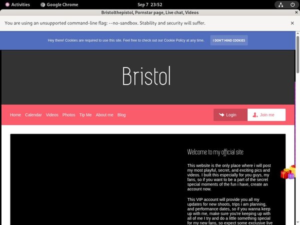 How To Get Free Bristolthepistol81.modelcentro.com