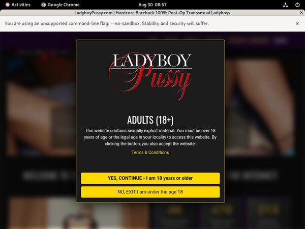 Ladyboypussy.com Clip Cash