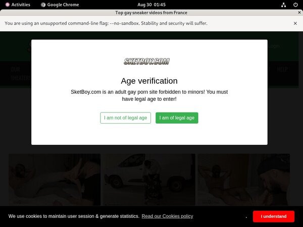 Sketboy.com Login And Password