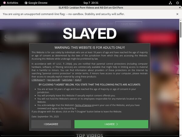 Slayed Free Join