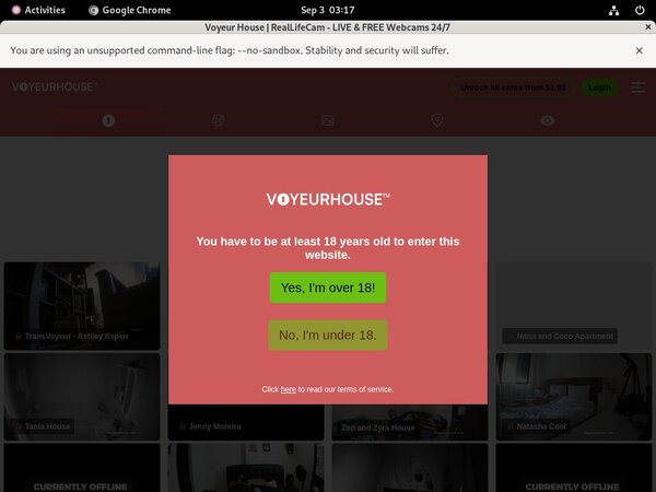 Voyeurhouse.com Promo Tour