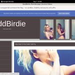 BaddBirdie Premium Discount