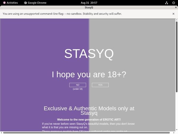 Stasyq.com Accounts Password