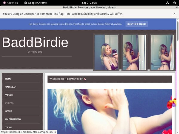 Baddbirdie.modelcentro.com Logins