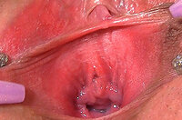 Gape My Pussy Valid Account s0 Gape My Pussy Valid Account s0
