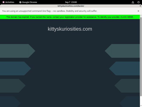 Kitty's Kuriosities With Bank Account Kitty's Kuriosities With Bank Account