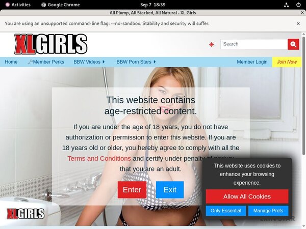 XL Girls Login Passwords