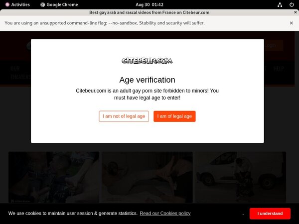 Citebeur.com Free Account Passwords