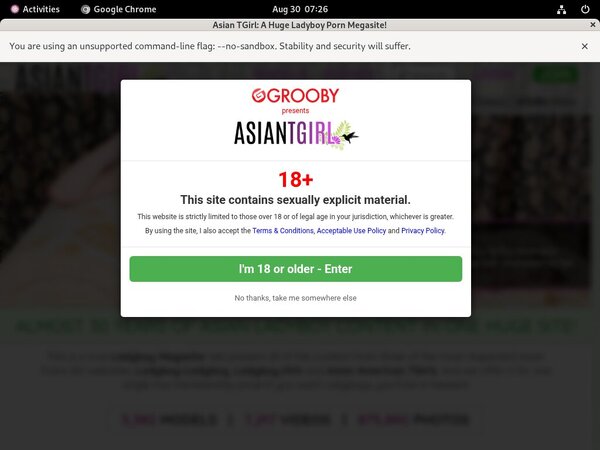 Ladyboyladyboy Inside